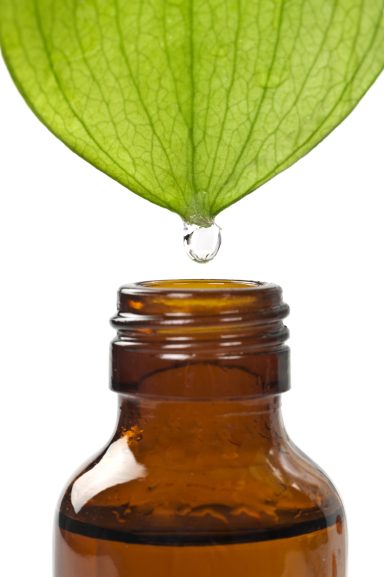 Pflanzenheilkunde
